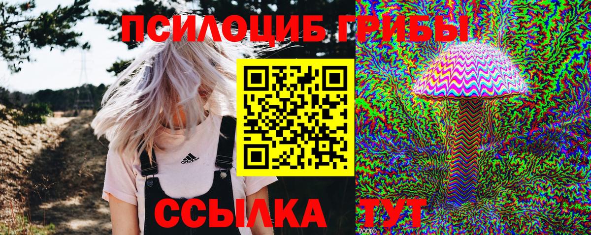 Псилоцибиновые грибы Cubensis  Псилоцибиновые грибы Cubensis  Кировск  Вход с VPN 